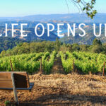 Life Opens Up